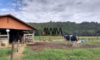 Imagem 2: Fazenda 23,5 Alqueires rica em água á venda por R$ 5.000.000 - Vila República - Goiás/GO