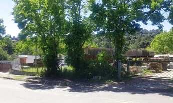 Imagem 3: CAXIAS DO SUL - Terreno Padrão - CRUZEIRO