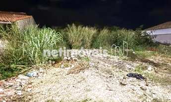 Imagem 6: Terreno plano a metros da Lagoa de Praia Seca!