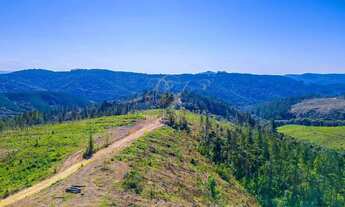 Imagem 4: Campo Largo, à 6 km do asfalto, 111 alqueires, ou 269 hectares , 38 Alqueires Própria Refl