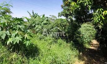 Imagem 5: Terreno Residencial à venda, Pinheiro, Valinhos - TE0460