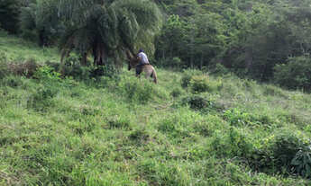 Imagem 6: Sitio 3 alqueiros em Itambacuri
