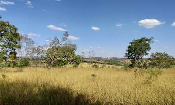 Imagem 2: Chácara entre Bela Vista e Piracanjuba com riacho a 80 km de Goiânia 2 hectares
