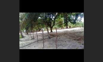 Imagem 3: Vendo ou troco granja em aningas a 400 metros da BR 101