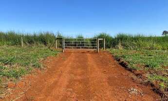 Imagem: Chácaras a venda em trindade próximo à
