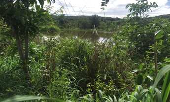 Imagem 6: Vende-se uma excelente fazenda de 123 Alqueires