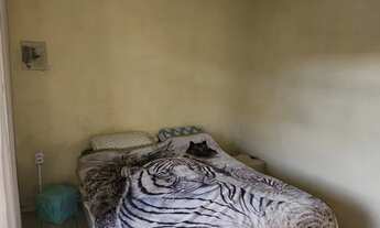 Imagem 5: Vendo Casa de Alvenaria no Parque Guarani/Joinville