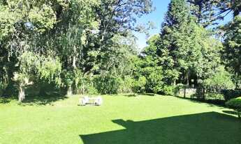 Imagem 7: GRAMADO - Padrão - Planalto