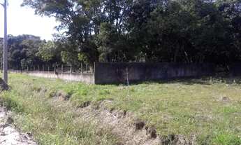 Imagem 3: Area em Pontal do Sul