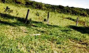 Imagem 2: Fazenda de 61 Alqueires ! Região de Estrela do Norte - GO !