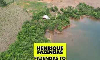 Imagem 4: Fazenda região beira lago em Miracema do Tocantins