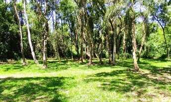 Imagem: Sítio / Chácara para Venda em Picada Café