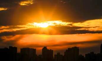 Imagem 7: Apartamento para aluguel tem 34 metros quadrados com 1 quarto em Prado Velho - Curitiba