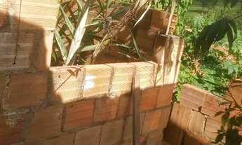 Imagem 6: Casa no Nova Olaria