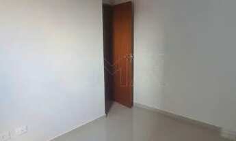 Imagem 6: Apartamento, Vila Constança - São Paulo