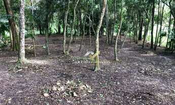 Imagem 6: Terreno à venda, 180 m² por R$ 255.000,00 - Vila Nova das Lavras - Suzano/SP