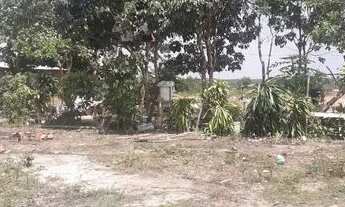 Imagem 6: Vendo terreno 28 frente 90 de comprimento