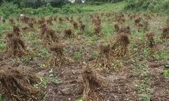 Imagem: Terreno cercado 97 hectares