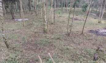 Imagem 3: Vende se chácara direto com o proprietário 8.000mts