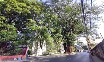 Imagem 2: Apartamento para alugar Liberdade 3 quartos e 1 vaga