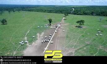 Imagem 3: Fazenda à Venda, 23000 Hec² Por R$ 120.000,00 - Novo Horizonte - Paranatinga/mt