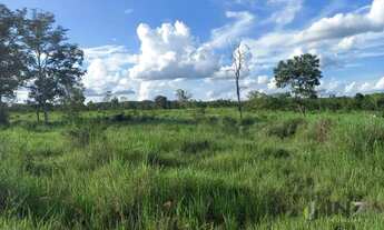 Imagem 5: Fazenda à venda, 492612 m² por R$ 1.200.000,00 - Zona Rural - Araguapaz/GO