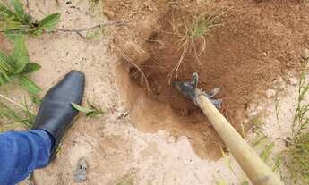 Imagem 6: Fazenda 8500 hect em tangará da serra MT. Terra Serrado, 5 mil da plantio 80 milhões