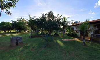 Imagem 7: Vendo excente chácara na Ponte Alta Sul com 4 hectares, 40.000m²!!!