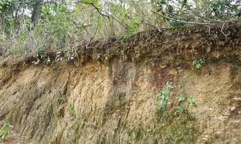 Imagem 2: Terreno à venda em Condomínio Maria Paula, 310,61m²