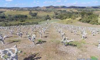 Imagem 2: SÍTIO - MACUCO - SP