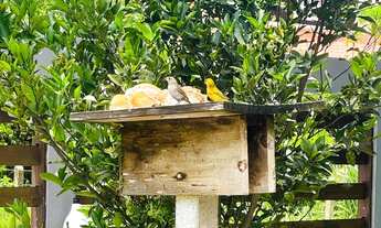 Imagem 2: Casa 350 metros do mar - Bosque das Saíras