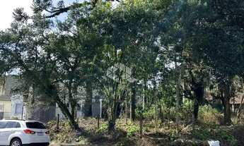 Imagem 4: Terreno junto ao centro de Canela