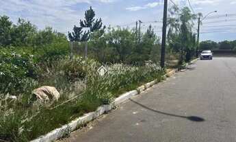 Imagem 5: Terreno no bairro Moinhos de Vento