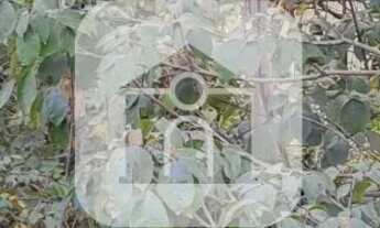 Imagem 2: Chácara para venda no bairro Shopping Park