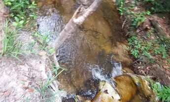 Imagem 5: Terreno em Subaúma, Entre Rios 17.000 m²