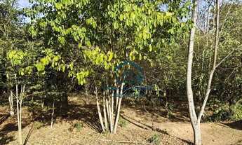 Imagem 3: Terreno à venda, 300 m² por R$ 298.000,00 - Condomínio Villa Guedes - Jaguariúna/SP