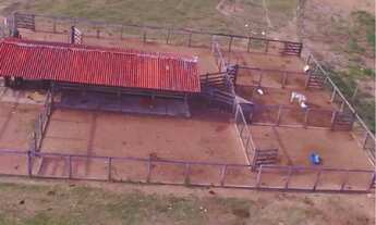 Imagem 5: Excelente fazenda próximo a Brasília