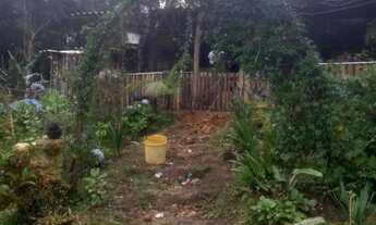 Imagem 3: Chacara prox a rodovia apenas 135 mil reais