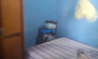 Imagem 4: Casa pra vender em boquim