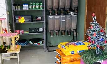 Imagem 4: VENDO AGROPECUÁRIA EM CAMBORIÚ