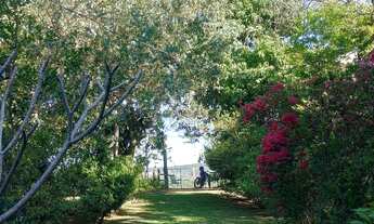Imagem: VENDO SÍTIO LINDO. 330 mil aceito carro