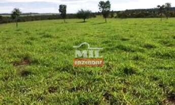 Imagem 4: Fazenda com 45 Alqueires (218 hectares) em Ipameri - Goiás