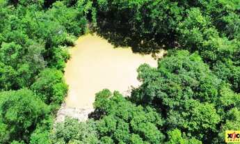 Imagem 6: Sítio / Chácara para Venda em Picada Café, Floresta