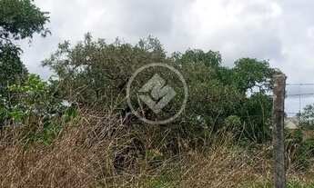 Imagem: Lote codigo 161242