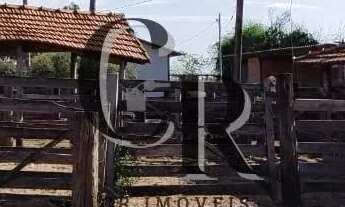 Imagem 7: Fazenda em Cezarina