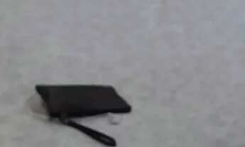 Imagem 3: Vendo 2 casas na Ilha de Coroa