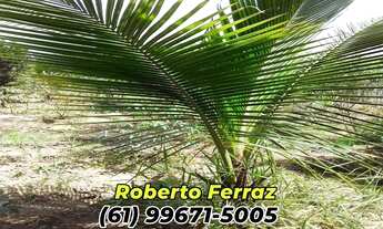 Imagem 4: Corumbá 4 - Casa No Condomínio Nautico Tarumã.