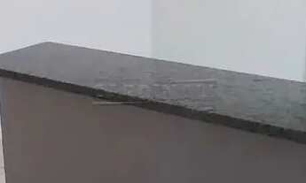 Imagem 3: Apartamento Padrão em São Carlos