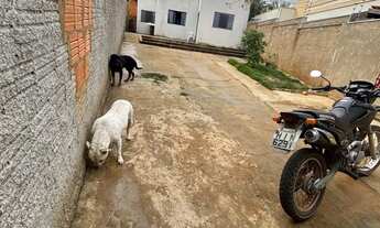 Imagem: Casa de 2 quartos, sala e cozinha conjugada