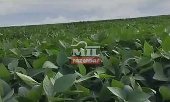 Imagem 6: Fazenda 362 alqueires (1.750 hectares) Doverlândia - Go